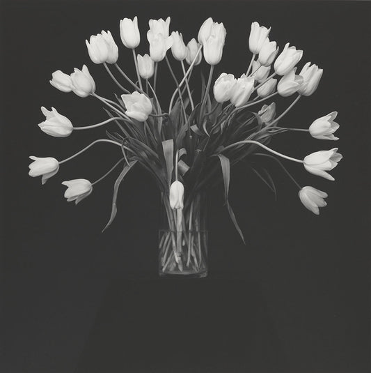 "Sell the public flowers" - Virágok, otthon, szex