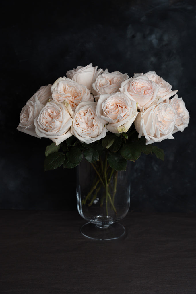 White O' Hara - Parfum rózsa / Exclusive selection 10 szál