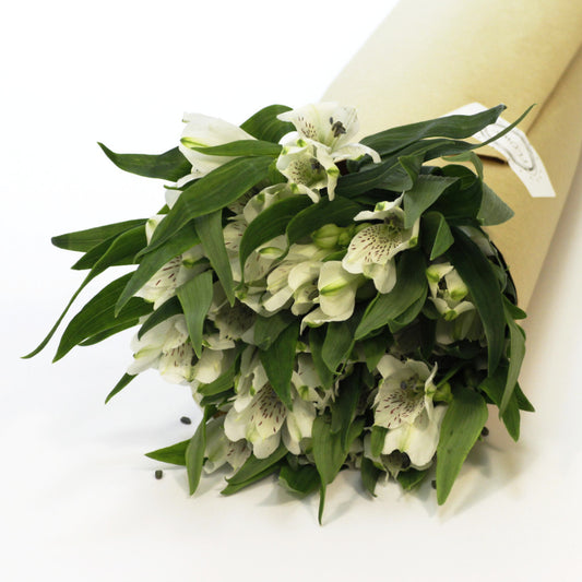 Alstroemeria Inkaliliom fehér (10 szál)