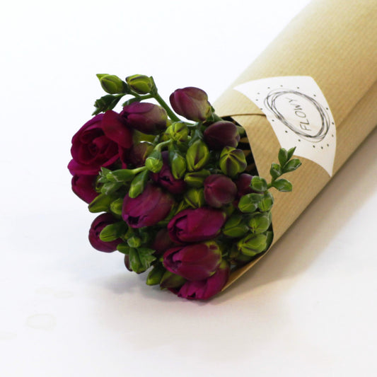 Frézia pink (10 szál)