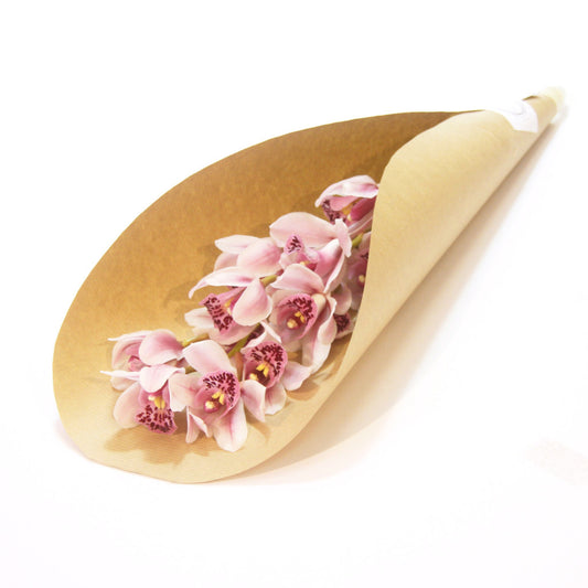Orchidea Fehér-rózsaszín 1 szál