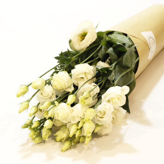 Lisianthus fehér (10 szál)