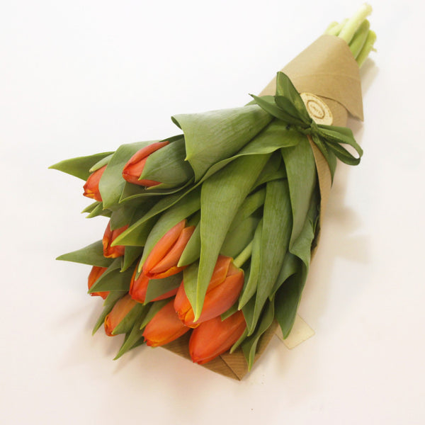 Tulipán Orange 20 szál