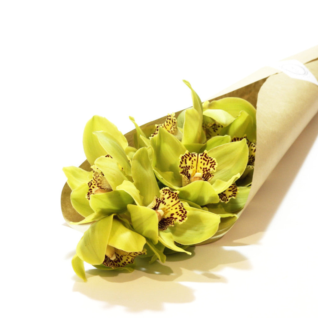 Orchidea (cymbidium) Zöld